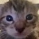 Streamer Profile Picture