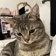 Streamer Profile Picture