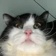 Streamer Profile Picture