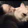 Streamer Profile Picture