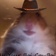 Cowboixx