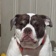 Streamer Profile Picture