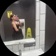Streamer Profile Picture