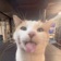Streamer Profile Picture
