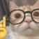 @moshimmooshii