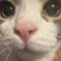 ilovecats0466