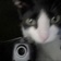mau