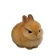 พอคอ