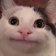 Streamer Profile Picture