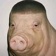 Streamer Profile Picture