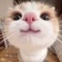 Streamer Profile Picture