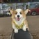 Streamer Profile Picture