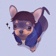 Streamer Profile Picture
