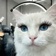 Streamer Profile Picture