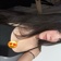 Streamer Profile Picture