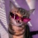 Streamer Profile Picture
