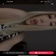 Streamer Profile Picture