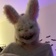 ᥫ᭡أمـولـهـ