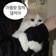 돌아왐