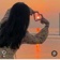 شهوده