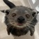 Streamer Profile Picture