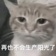林小纯