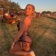 Streamer Profile Picture