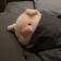 Streamer Profile Picture