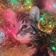 Streamer Profile Picture
