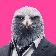 Earl Eagle
