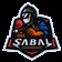 Streamer Profile Picture