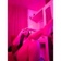 Barbis Oficial 💋