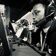 Streamer Profile Picture