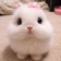 Streamer Profile Picture