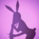🐰🤍LOLA BUNNY🐰🤍