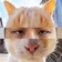 Streamer Profile Picture