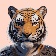 Warrior Tiger