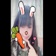 🧚♂️ゆのん🍀︎