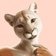 Angelic Puma