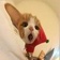 Streamer Profile Picture