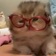 Streamer Profile Picture