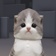 Streamer Profile Picture
