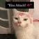 Streamer Profile Picture