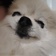 あねら