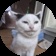 Streamer Profile Picture