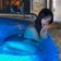 Streamer Profile Picture