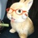 Streamer Profile Picture