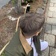 dogbrainsoldier
