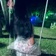 Streamer Profile Picture