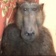 Streamer Profile Picture